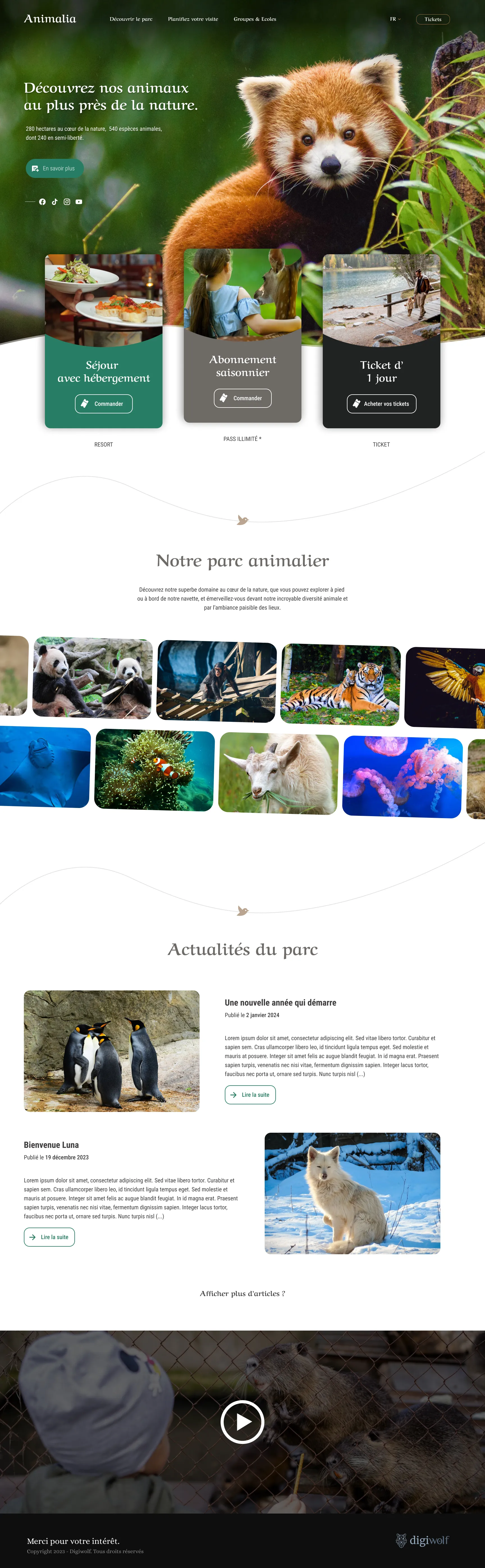 Animalia