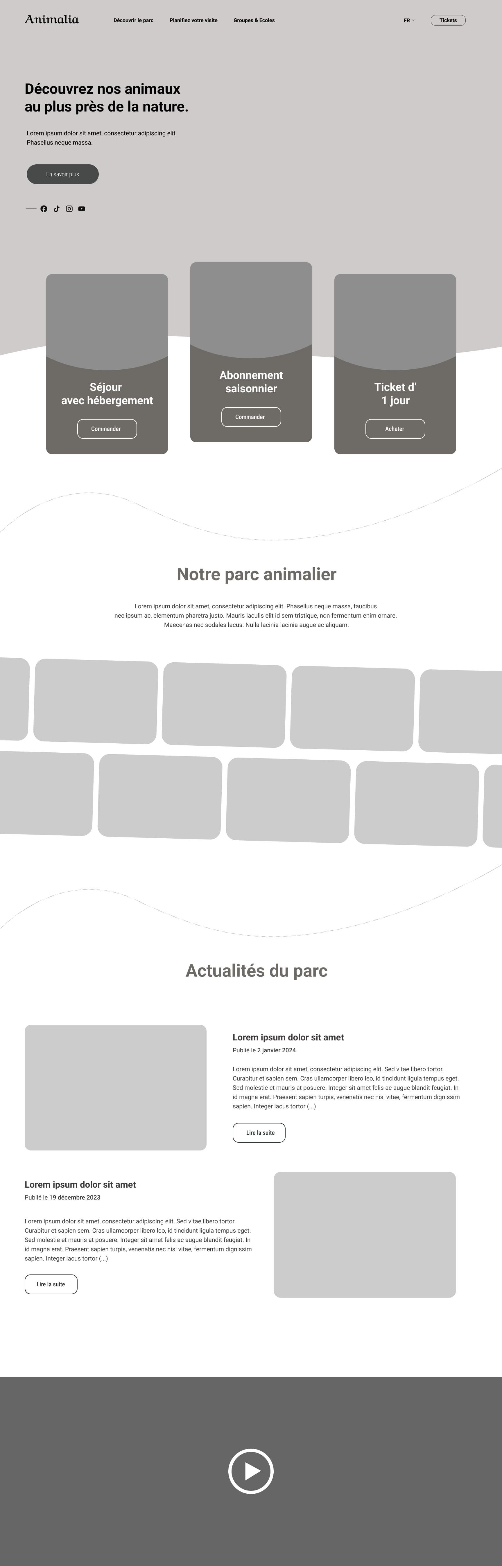 Identité visuelle Animalia — vue 2