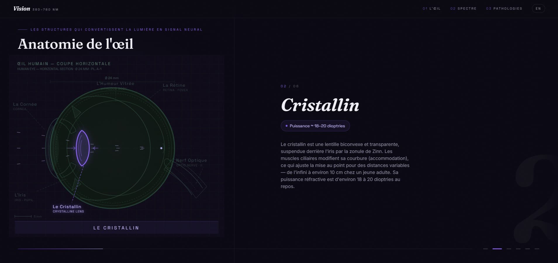 Framer Vision — 3D avatar customization