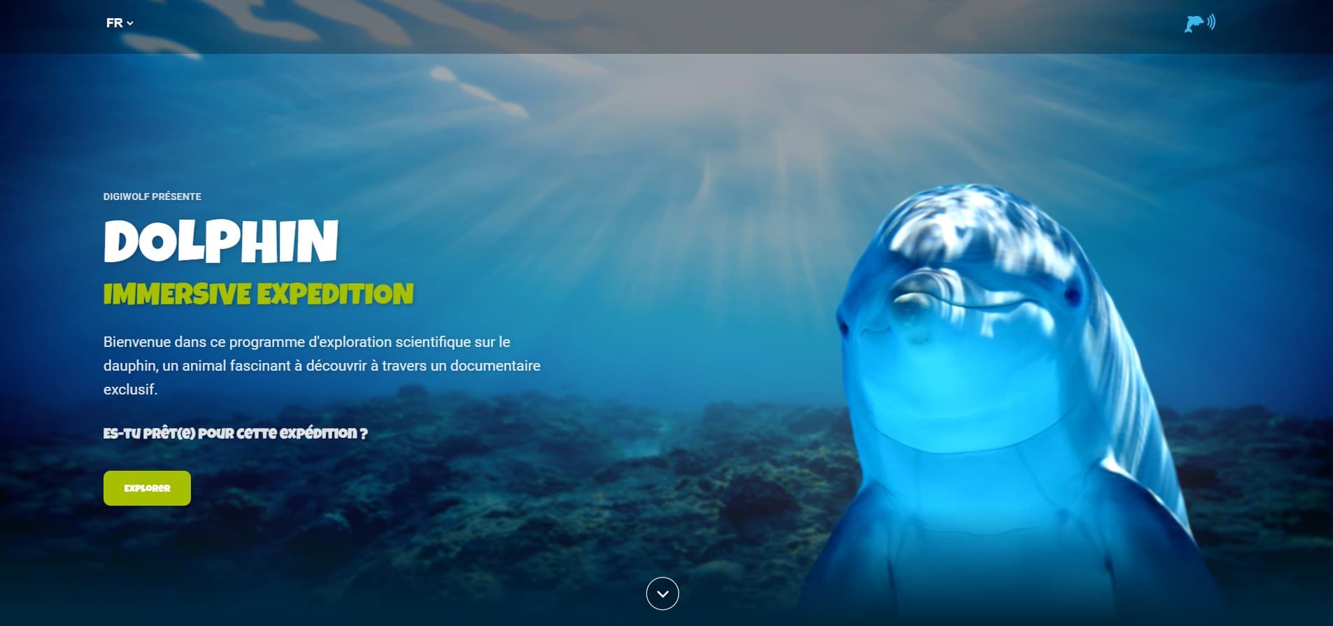 Cetasea Expedition